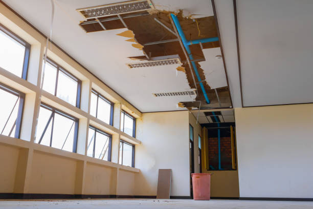 Best Water damage restoration mold remediation  in Foxfire, NC
