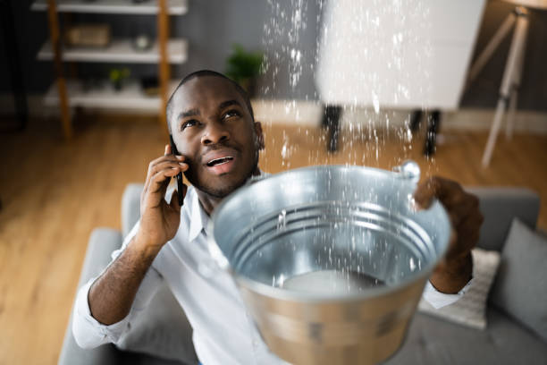 Best Water damage cleanup near me  in Foxfire, NC