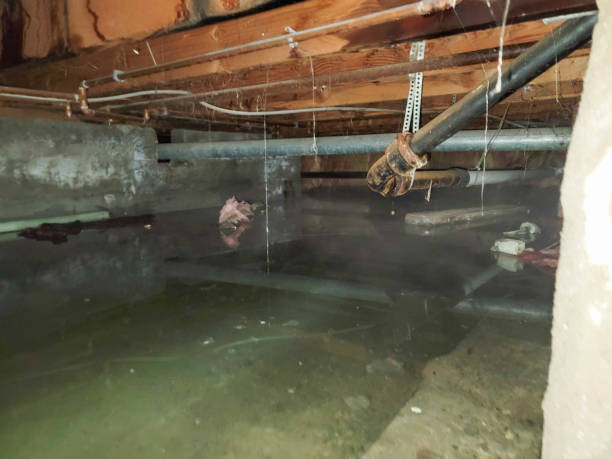 Best Commercial water damage restoration  in Foxfire, NC