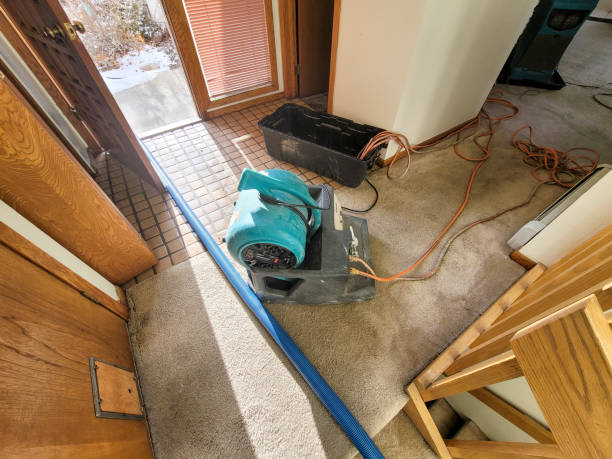 Foxfire, NC Water damage restoration Pros