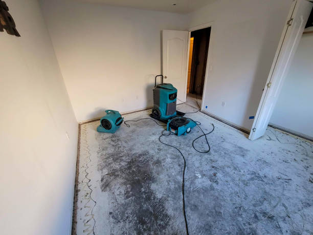 Best Water damage restoration near me  in Foxfire, NC