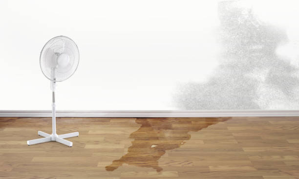 Best Flood damage cleanup  in Foxfire, NC