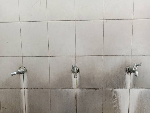 Best Carpet water damage restoration  in Foxfire, NC