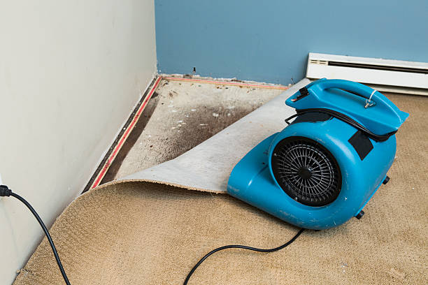 Best 24/7 water damage repair  in Foxfire, NC